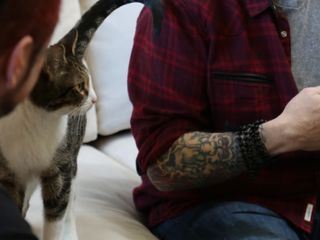 Der Katzenfluesterer