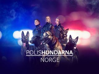 Police Dogs