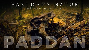 Vaerldens natur: På tre minuter