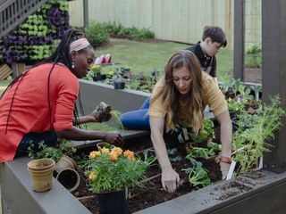 Homegrown - Aus Liebe zum Garten