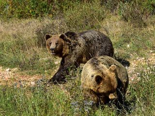Der Apennin - Italiens Naturparadies