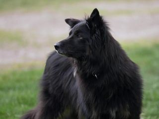 Die Unvermittelbaren - Mit Martin Ruetter