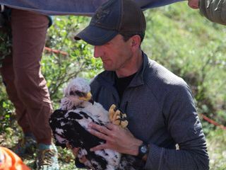 Die Yukon-Tieraerztin