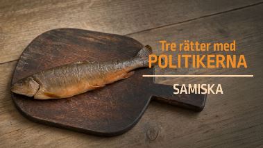 Tre raetter med politikerna (samiska)