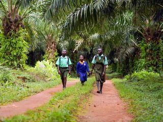 Die gefaehrlichsten Schulwege der Welt