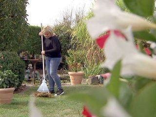 Der Traum vom Schrebergarten