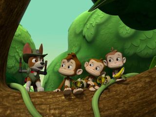 Paw Patrol - Helfer auf vier Pfoten