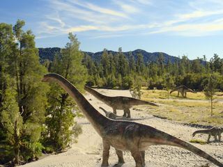 Die Dinosaurier vom Suedpol Die Dinosaurier vom Suedpol
