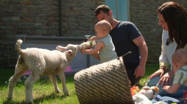 Hem till bondgården
