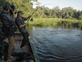 Die letzten Giganten: Riesenfische