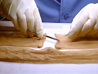 Medical Detectives - Geheimnisse der Gerichtsmedizin