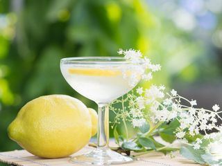 Unkraut-Limonade und andere leckere Kraeuter-Rezepte
