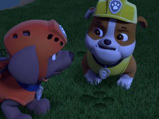 PAW Patrol - Helfer auf vier Pfoten