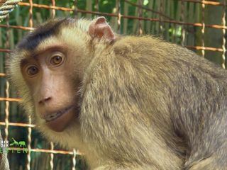 WILDER WILDER WESTEN