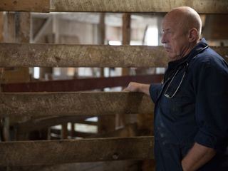 Der unglaubliche Dr. Pol