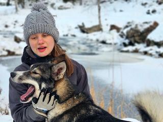 Das Camp in der Wildnis