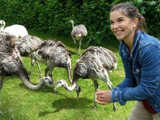 Anna und die wilden Tiere