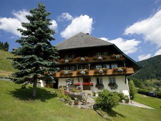 Der Schwarzwald - Tannen, Tradition, Touristen