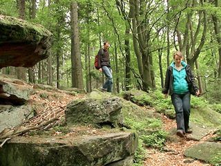 Kreuz und quer zu Fuss durch Hessen