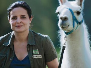 Tieraerztin Dr. Mertens