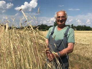 Das teuerste Stroh der Welt