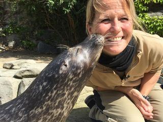 Giraffe, Erdmaennchen & Co.