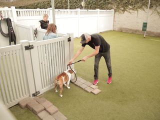 Zweite Chance fuer Hunde
