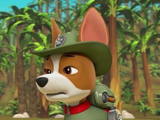Paw Patrol: Helfer auf vier Pfoten
