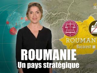 Mit offenen Karten - Im Fokus