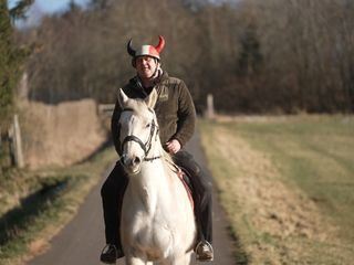 Waldis Welt