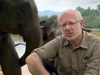 Theos Tierwelt