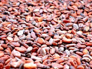 Nordlichter - Kulinarisch skandinavisch