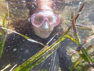 Die Seegras-Retter von den Balearen Die Seegras-Retter von den Balearen