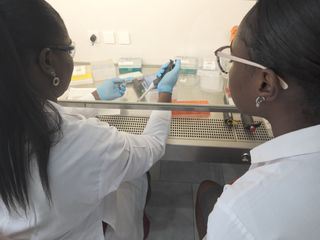 Afrika - Power-Kontinent im Aufbruch