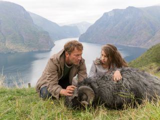 Kleine Ziege, Sturer Bock Kleine Ziege, Sturer Bock