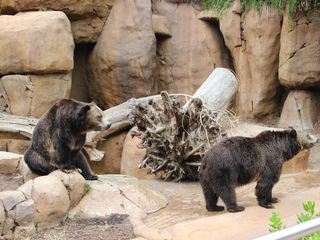 San Diego Zoo