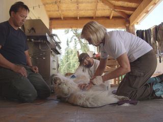 Dr. Dee: Tieraerztin in Alaska