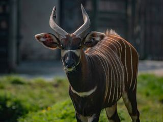 Zoo und so - Tierisch wild!
