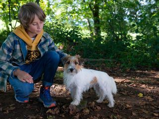 Tiere bis unters Dach