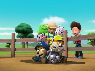 Paw Patrol - Helfer auf vier Pfoten