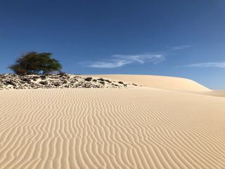 Im Land der Feuerberge