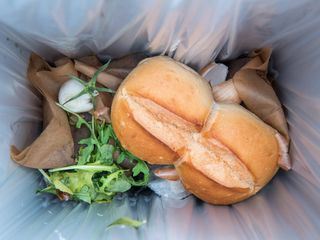 Der Mensch und sein Muell