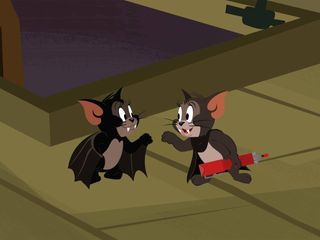 Die Tom und Jerry Show