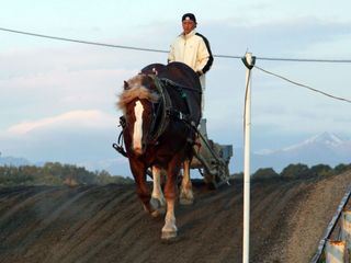 Hokkaido - Japans wilder Norden