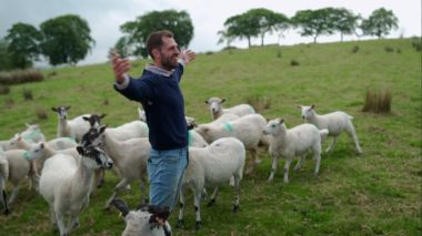 Hem till bondgården