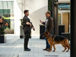 Kommissar Rex: Wien sehen und sterben