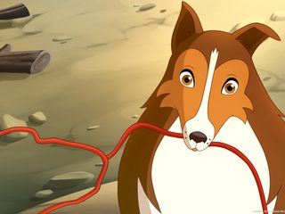 Lassie Lassie