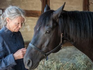 Altes Land: Ankommen