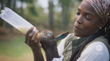 Homegrown - Aus Liebe zum Garten