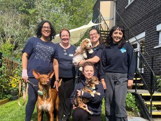 Re: Haustier-Besitzer in Not